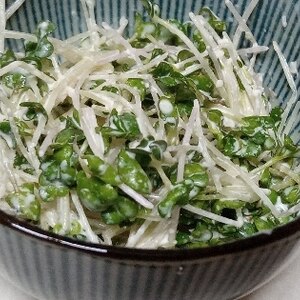 かいわれサラダ/マヨチーズ
